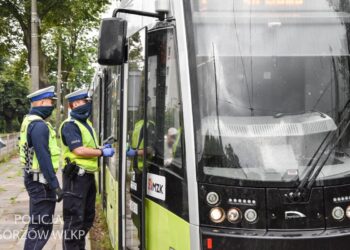 Kontrole kierowców autobusów i tramwajów