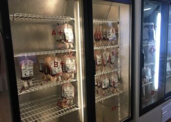 Gorzowski szpital sobie radzi, ale krew pilnie potrzebna