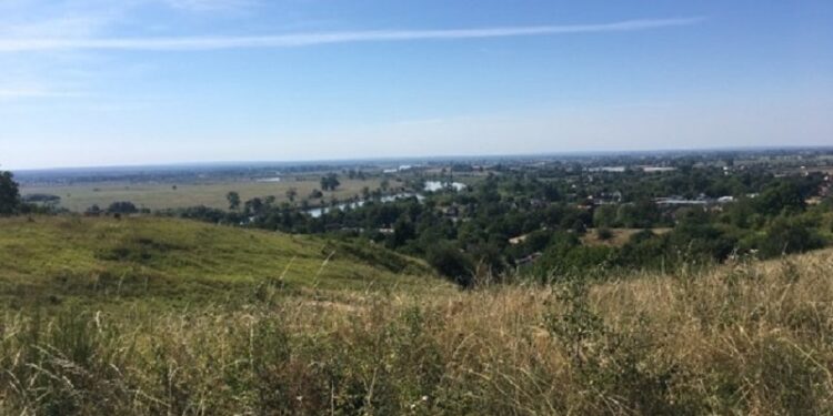 Jak się żyje owcom na „Gorzowskich Murawach”?