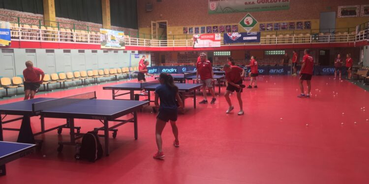 Ani Cetniewo ani Spała tylko Gorzów