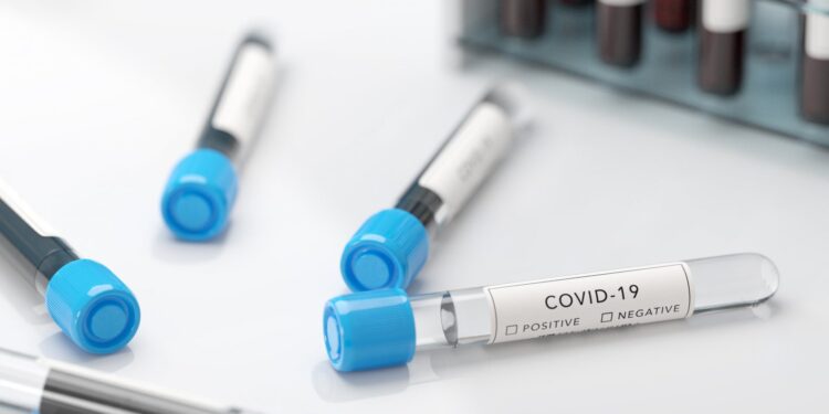 Lubuskie: cztery nowe przypadki koronawirusa