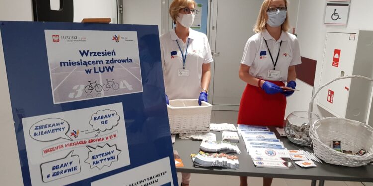 Kwiaty pod tablicą „Solidarności”