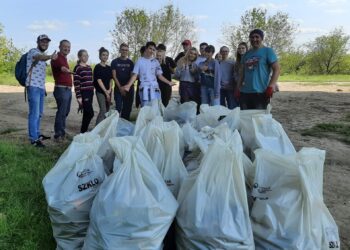 Sprzątanie brzegów Warty