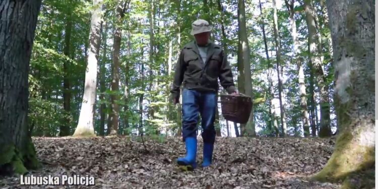 Idziesz na grzyby? Zachowaj rozwagę!