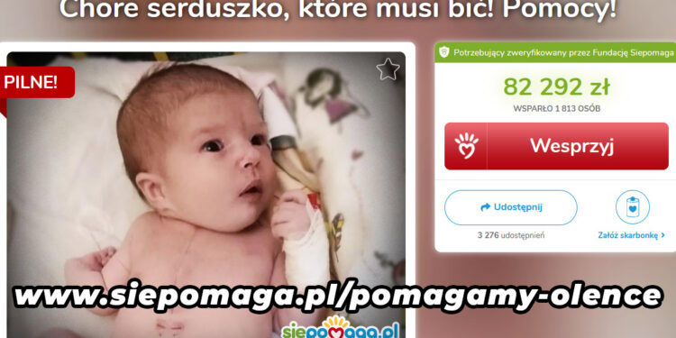 Festyn Rodzinny dla Oli Woch