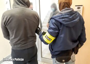 W „dziupli” auta i części za pół miliona zł