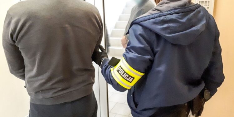 W „dziupli” auta i części za pół miliona zł