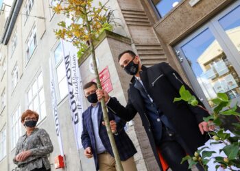 Dąb Bartek dla mistrza świata