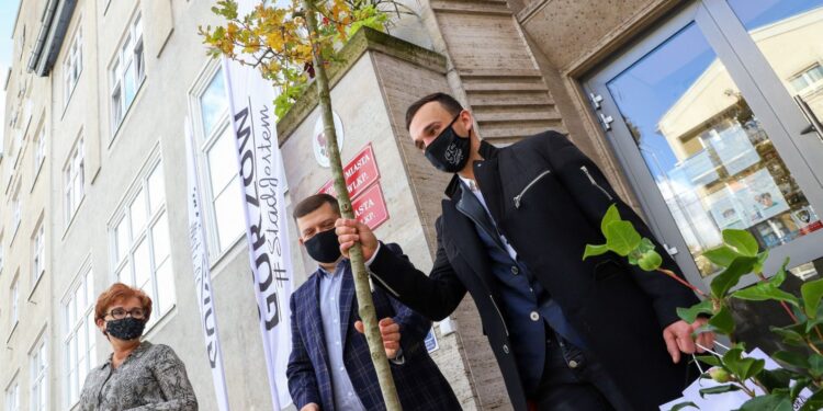 Dąb Bartek dla mistrza świata