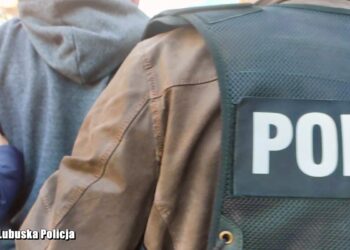 Poszukiwany przez Interpol zatrzymany w Gorzowie