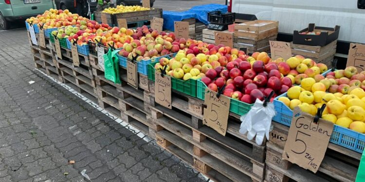 W 2021 roku bez opłaty targowej