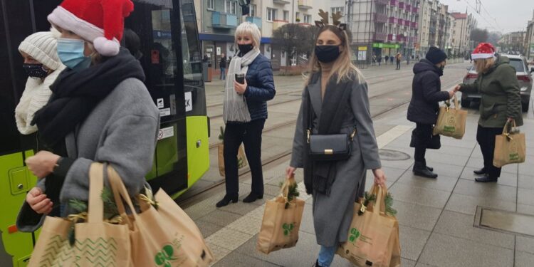 Kwiaty i znicze pod tablicą