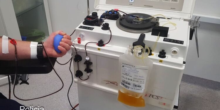 Gorzowscy policjanci oddają osocze