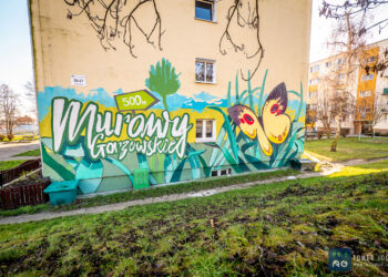 Murale na Słonecznej [GALERIA]