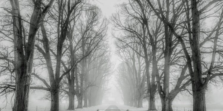 Uwaga! Sypnęło śniegiem, może być ślisko