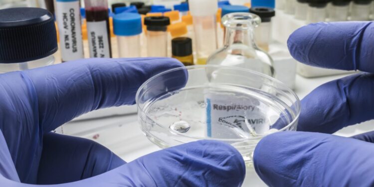 Koronawirus: kraj 6640 zakażonych, Lubuskie 208