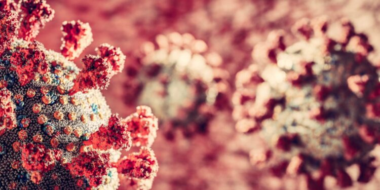 178 kolejnych zakażeń w województwie