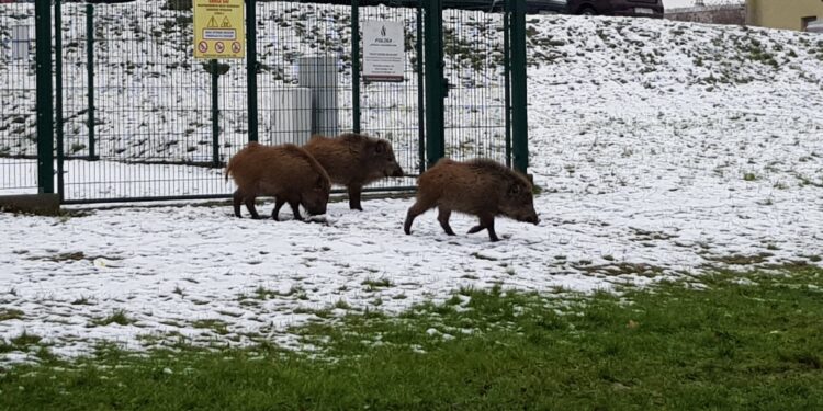 Ruszyła przebudowa stadionu