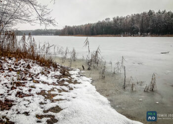 W poszukiwaniu zimy… [GALERIA]