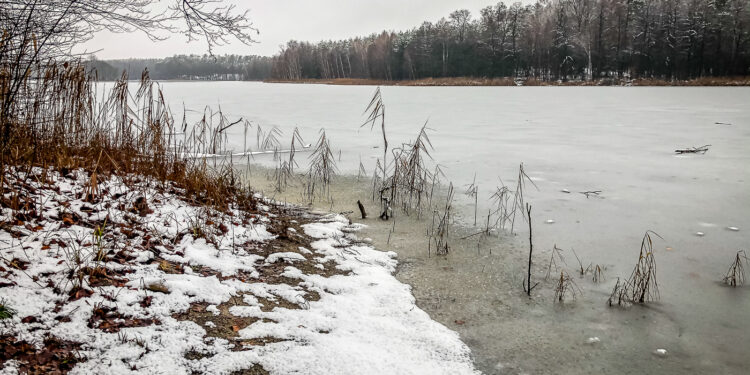 W poszukiwaniu zimy… [GALERIA]