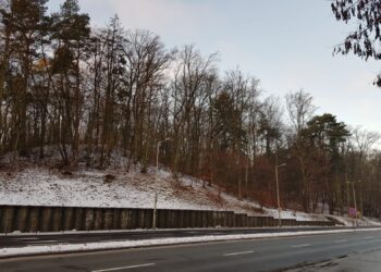 Trwa ogradzanie terenu i wycinka krzewów