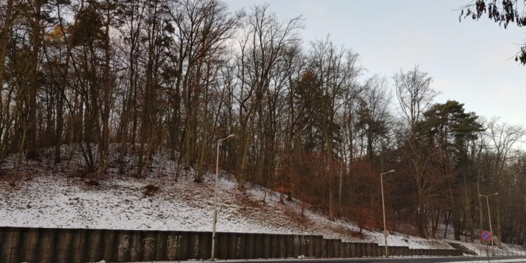 Trwa ogradzanie terenu i wycinka krzewów