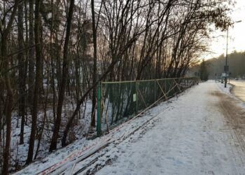 Trwa ogradzanie terenu i wycinka krzewów