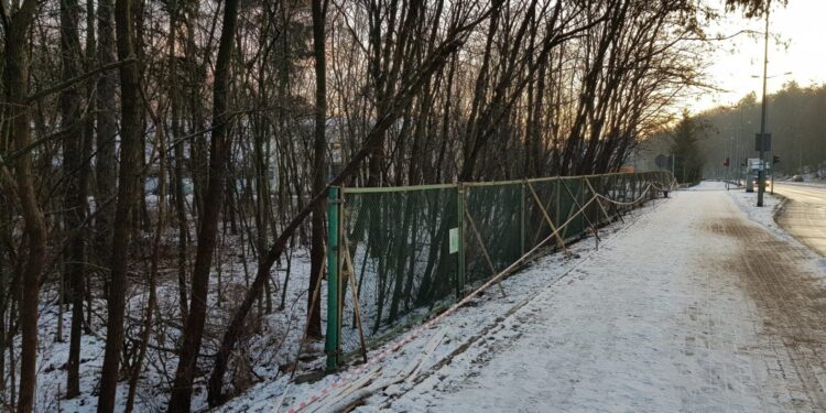 Trwa ogradzanie terenu i wycinka krzewów