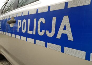 Agresywne owczarki zaatakowały przy Kwiatowej. Sprawą zajęła się policja