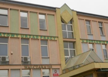 Bezrobocie w Gorzowie? Sprawdź statystyki