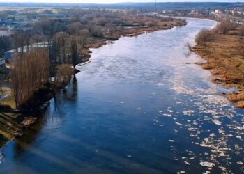 Poziom Warty w normie