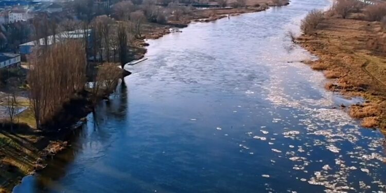 Poziom Warty w normie