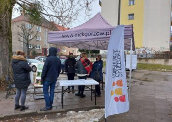 Nowy mural i zieleń – w Gorzowie powstaje park kieszonkowy