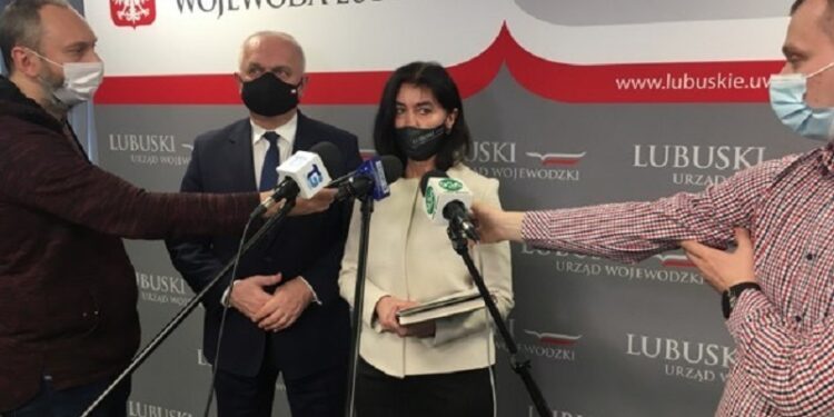 Dzik na górkach za Filharmonią Gorzowską