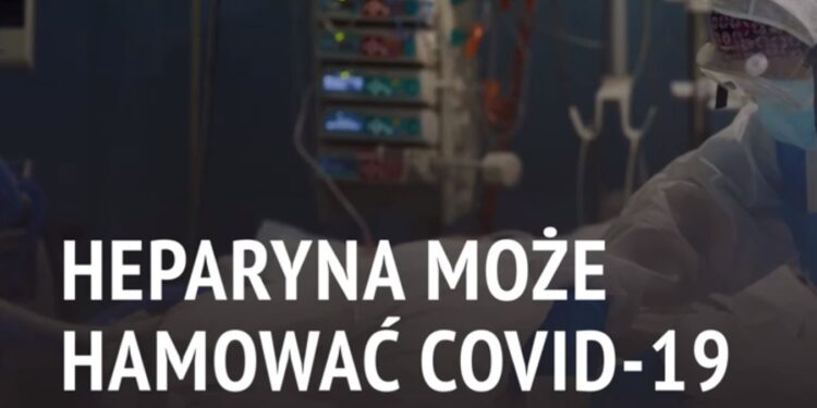 Heparyna może hamować COVID-19