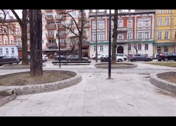 Kamienne obrzeża wokół drzew [FILM]