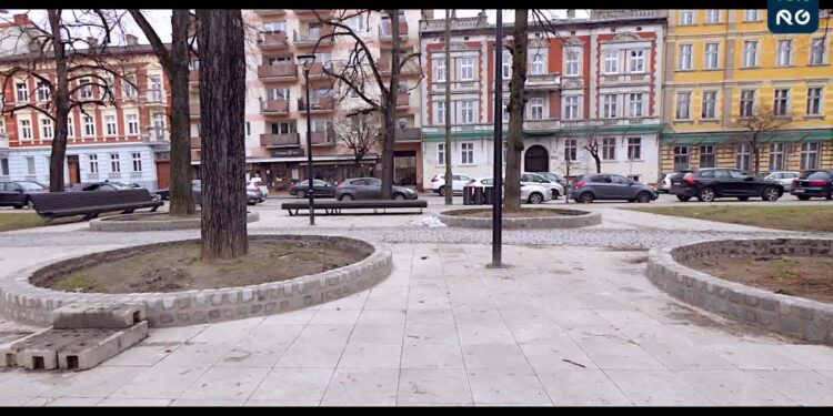 Kamienne obrzeża wokół drzew [FILM]