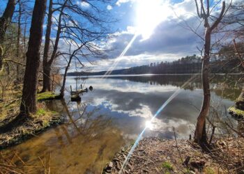 Sobotnia piesza wycieczka w okolice Gorzowa