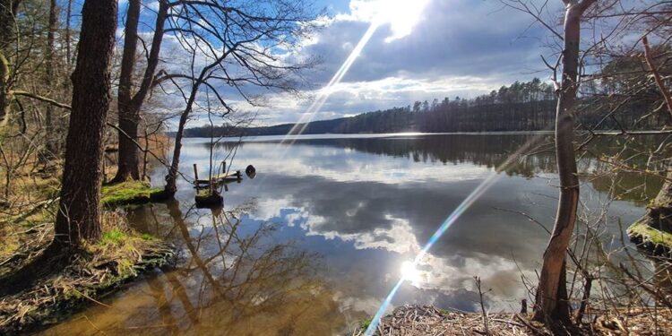 Sobotnia piesza wycieczka w okolice Gorzowa