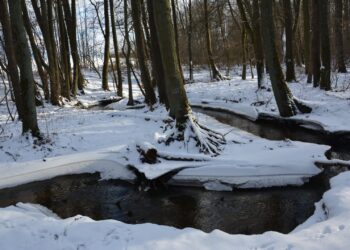Sobotnia wycieczka wzdłuż rzeczki Srebrna