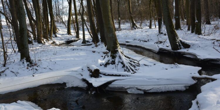 Sobotnia wycieczka wzdłuż rzeczki Srebrna