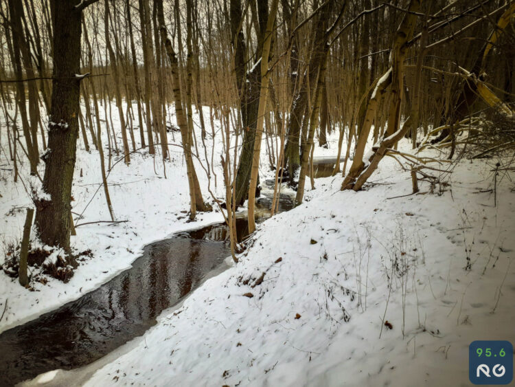 Sobotnia wycieczka wzdłuż rzeczki Srebrna
