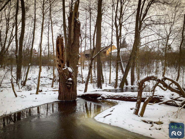 Sobotnia wycieczka wzdłuż rzeczki Srebrna