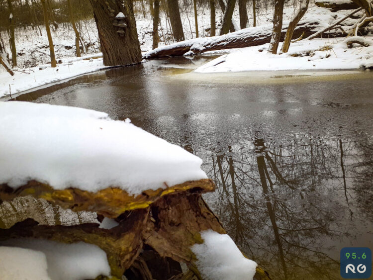 Sobotnia wycieczka wzdłuż rzeczki Srebrna