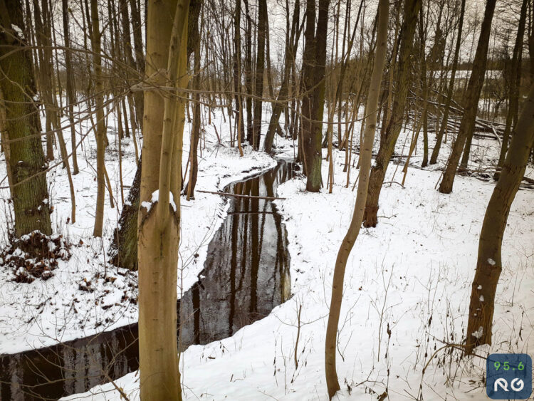 Sobotnia wycieczka wzdłuż rzeczki Srebrna