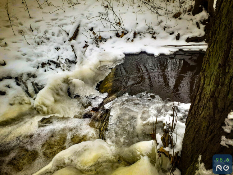 Sobotnia wycieczka wzdłuż rzeczki Srebrna