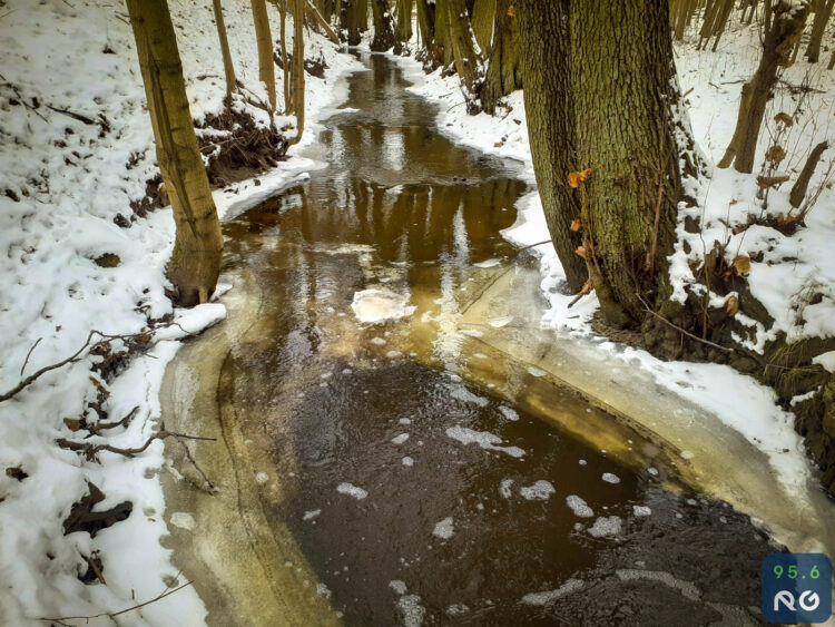 Sobotnia wycieczka wzdłuż rzeczki Srebrna