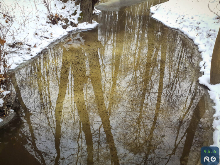 Sobotnia wycieczka wzdłuż rzeczki Srebrna