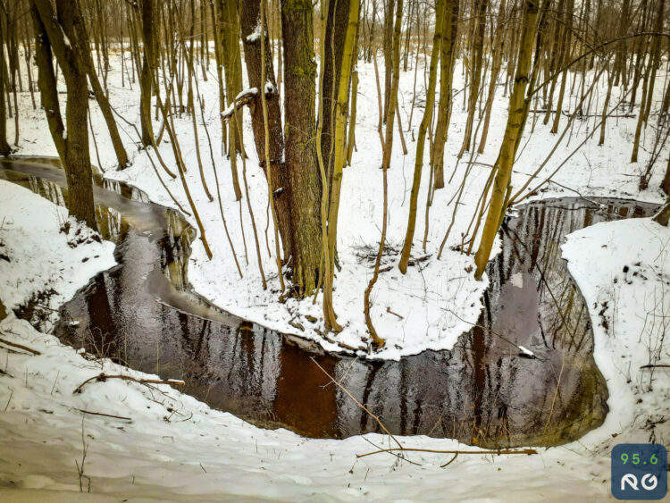 Sobotnia wycieczka wzdłuż rzeczki Srebrna