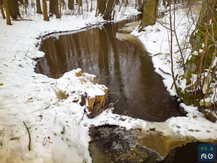 Sobotnia wycieczka wzdłuż rzeczki Srebrna